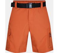 Short cargo Columbia Silver Ridge Utility pour homme