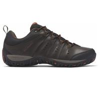 Columbia Woodburn II Waterproof - homme