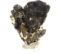 COLUMBITE - Pierre Naturelle en Provenance de Madagascar, Tsaramanga - Cristal Rare et Précieux, 50.88 ct - Certificat d'Authenticité Inclus 26 x 19 x 15 mm G