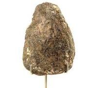 COLUMBITE - Pierre Naturelle en Provenance de Madagascar, Tsaramanga - Cristal Rare et Précieux, 72.41 ct - Certificat d'Authenticité Inclus 32 x 20 x 14 mm G