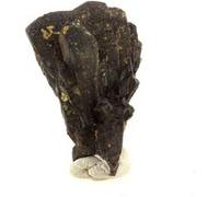 COLUMBITE - Pierre Naturelle en Provenance de Madagascar, Tsaramanga - Rare Minéral de Collection, Cristal Noir Brillant 81.17 ct - Certificat d'Authenticité Inclus 25 x 20 x 18 mm Noir G