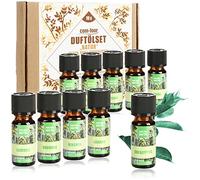 COM-FOUR® 10x Huiles parfumées dans un ensemble - parfum d'ambiance naturel - huile parfumée pour diffuseurs d'arômes (10 pièces - Naturel 1)
