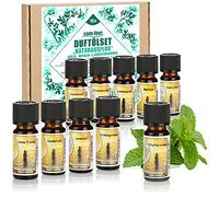 COM-FOUR® 10x huiles parfumées dans un ensemble - parfum d'ambiance voyage nature - huile parfumée pour diffuseurs d'arômes, vaporisateurs d'eau, humidificateurs d'air (010 pièces - excursion nature)