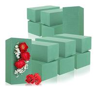 com-four® 12x Composition Plug-in pour compositions Florales - Mousse Florale pour Fleurs fraîches - éponge Plug-in pour des événements