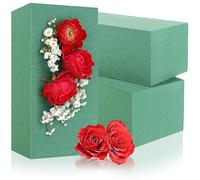 com-four® 3X Masses de bouchage pour Les compositions Florales - Mousse pour Les Fleurs fraîches pour Le Mariage et l'anniversaire