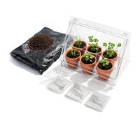 com-four® Mini Serre avec 6 Pots en Terre Cuite, graines et terreau - kit de Culture pour Basilic, Persil et ciboulette - Serre d’intérieur pour semis (Kit de Culture 10)