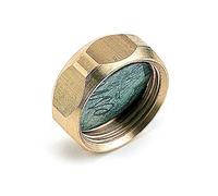 COMAP 982522 Bouchon Femelle série E M22 avec Joint Plat pour Sortie 9532-Accessoire de collecteur, Doré