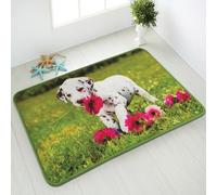Comart, Mio Mobilier Tapis antidérapant et Lavable avec Chiots de Chien et Chat pour Chambre, Salon, Salle de Bain, pour Enfants et Animaux de Compagnie, Motif Mignon Dalmatien avec Fleurs Rouges, 80