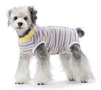 Combinaison de convalescence chirurgicale pour chien femelle, sans manches, alternative au collier électrique et cône, combinaison chirurgicale pour chiens de petite et moyenne taille après une