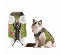 Combinaison de convalescence pour chiens et chats mignons dans l'herbe après une chirurgie, chemise de convalescence pour animal domestique, combinaison de convalescence pour animal domestique