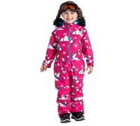 Combinaison de ski hiver pour enfants Dare2B Snowplay 92