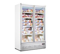 Armoire Congélateur Professionnel 1000 Litres Vitrée