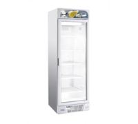 CombiSteel Armoire Negative Vitrée - 1 Porte 382 L