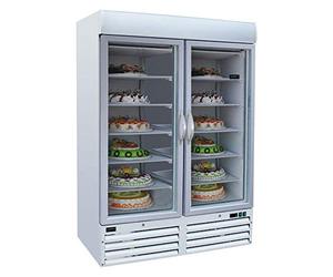 CombiSteel Armoire Vitrée Négative - 1079 L - 2 Portes