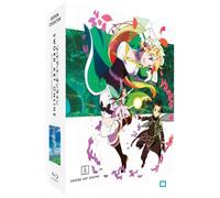 Combo Blu-ray + DVD - Sword Art Online - Arc 2 (ALO) - Edition Collector Limitée - 11 épisodes - 275 min
