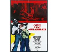 Come Cani Arrabbiati (DVD)