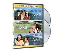 Come Home Courage of Lassie