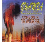 Come on in The Waters Fire