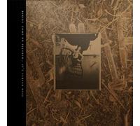 Come On Pilgrim... It’s Surfer Rosa E