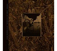 Come on Pilgrim... It'S Surfer Rosa
