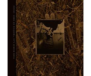 Come on Pilgrim... It'S Surfer Rosa