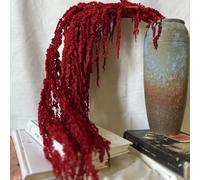 Comebachome Bouquet de Fleurs séchées, 24-31, 5 Amaranthus séché Suspendu, Fleurs de Vigne Naturelle réaliste, Plantes réutilisables pour Le Bouquet Mariage décor à la Maison, Rouge foncé, Fleur