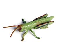 Comebachome Collection de Jouets et d'insectes sauterelles - Figurines de sauterelles très détaillées pour l'apprentissage des Enfants, l'étude la Nature, la décoration d'halloween