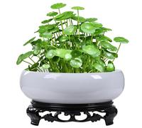 Comebachome Jardinière Lotus Bowl, jardinière en céramique de 8, 1x3, 0 Pouces avec Support, Pots de bonsaï Ronds pour Le Bureau, Le Jardin, l'intérieur et l'extérieur, décoration la Maison