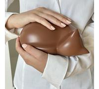 Comemori urne funéraire en Forme de Chat Dormant, Marron