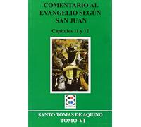 Comentario al evangelio según san Juan: Tomo VI