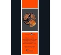 Comer A La Moda. Imitaciones De Vajilla De Mesa En Turdetani - [Livre en VO] Z Francisco José García Fernánde, Enrique (Auteur)