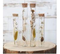 Comforder Fleurs Séchées dans Tube à Essai avec Bouchon en Liège 4pcs, Décoration de Fleurs Séchées, Mariage Champêtre (Naturel)