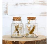 comforder Lot de 2 fleurs séchées dans un verre avec bouchon en liège - Décoration florale séchée dans un large verre (petit/naturel)