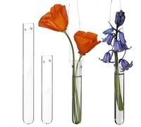 COMFORDER Vase Décoratif en Forme de Tube à Essai en Verre pour Fleurs, Boutures, Station de Bouturage, Plantes Suspendues - 12 pcs