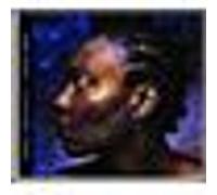 Me'Shell Ndegeocello – Comfort Woman