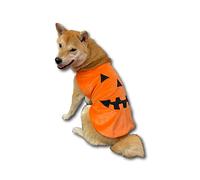 ComfyCamper Costume citrouille pour chien - Chiot, chat, chaton, nourriture mignonne - Costume cape en tissu pour animal domestique (taille S)
