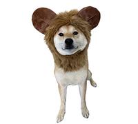 ComfyCamper Costume d'ours à fourrure pour chien - Costume de lion mignon - Cosplay pour Halloween et Noël - Taille L