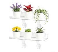 Comgooldool Lot de 2 étagères de fenêtre en acrylique transparent avec ventouses puissantes, 30,5 cm à suspendre avec garde-corps pour plantes grasses, herbes aromatiques, décoration d'intérieur (30,5
