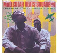 Coming by Storm (x2+2) [Import]