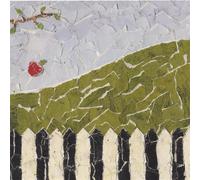 Coming to Terms with Gravity [Import]