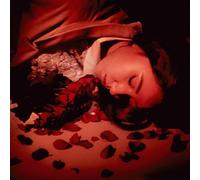 Coming Up Roses - How Did We Fall So Far?