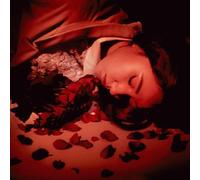 Coming Up Roses - How Did We Fall So Far? [VINYL]