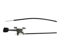 Greenstar 8561 Commande d'accélération adaptable X6306752