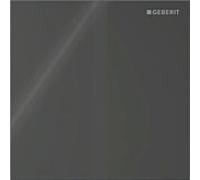 Commande d'urinoir Geberit Type 40 116237SJ1 électronique, à piles, noir
