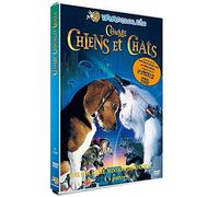 Comme chiens et chats – DVD – Warner Bros.