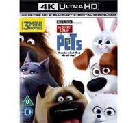 Secret Life Of Pets