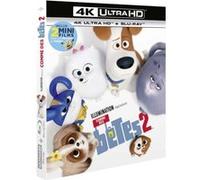 Comme des bêtes 2 – Blu-ray – Combo 4K Ultra HD + Blu-ray