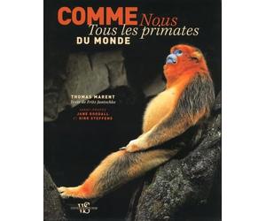 Comme nous - Tous les primates du monde