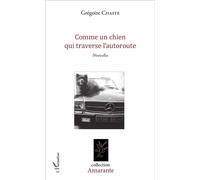 Comme un chien qui traverse l'autoroute Nouvelles - Grégoire Chaste - L'harmattan - broché - Nouvelles