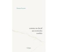 COMME UN DAVID AUX TESTICULES TOMBÉS